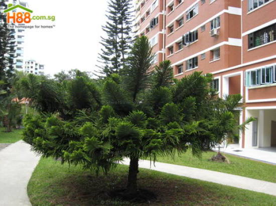 Blk 146 Mei Ling Street (Queenstown), HDB 5 Rooms #375602